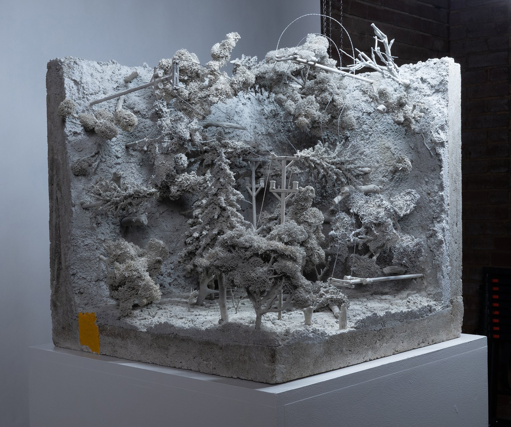 Dominion Kouts 2020 Carrie Kouts