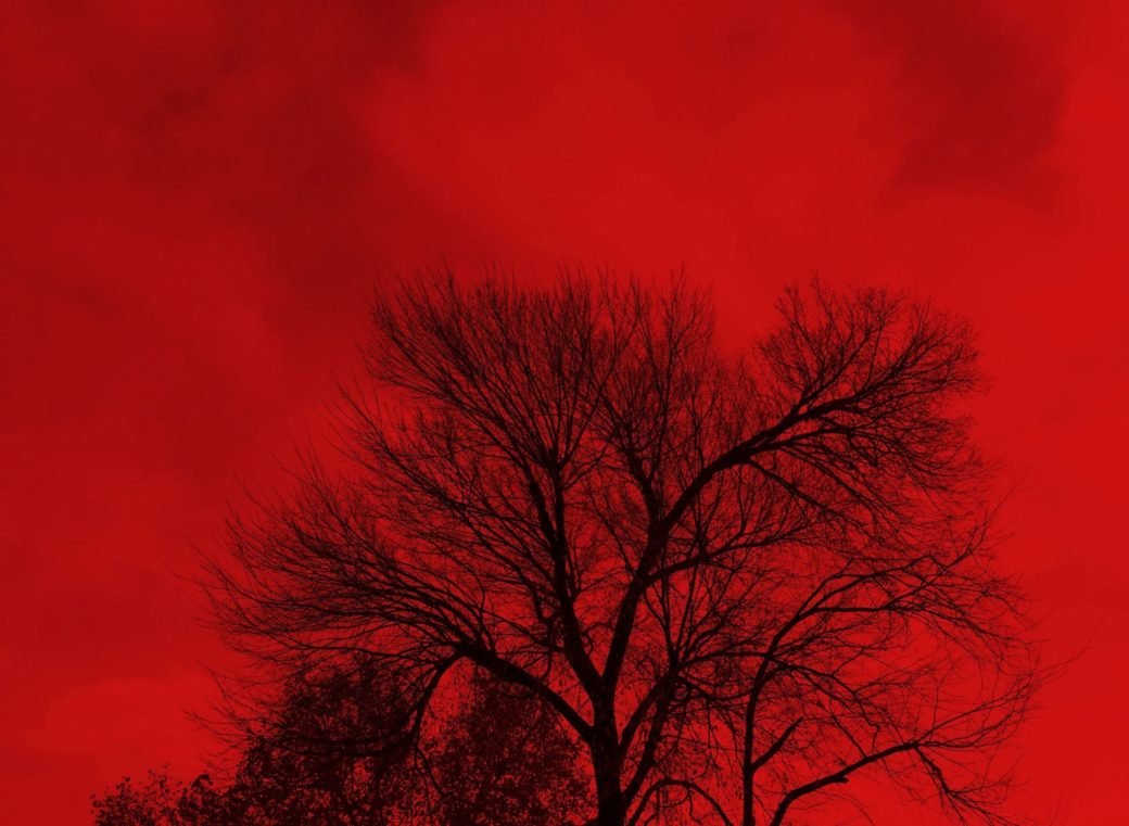 Nosamyrag the summer was over