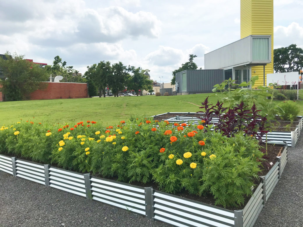 A raised-bed garden, with metal sides and filled with flowers and plants, stands in a lawn in front of a building made from shipping containers