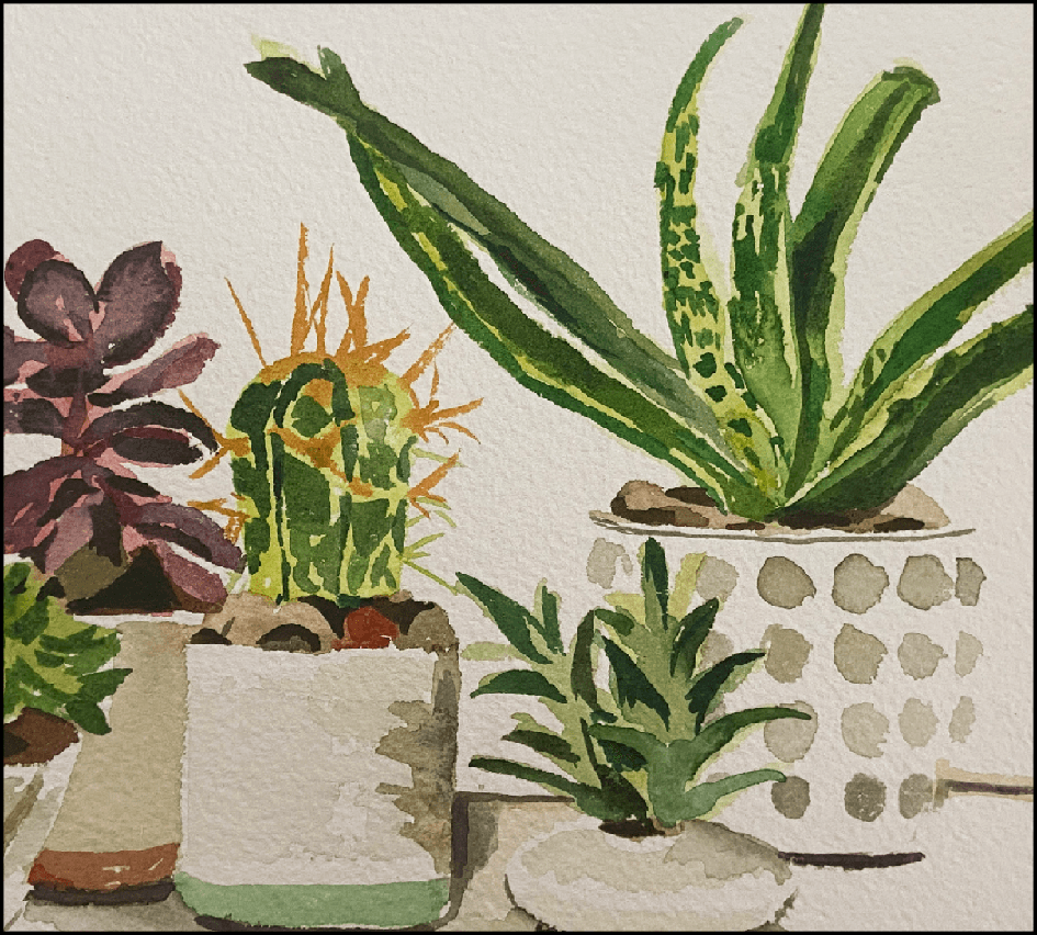 A watercolor image of potted cacti and succulents