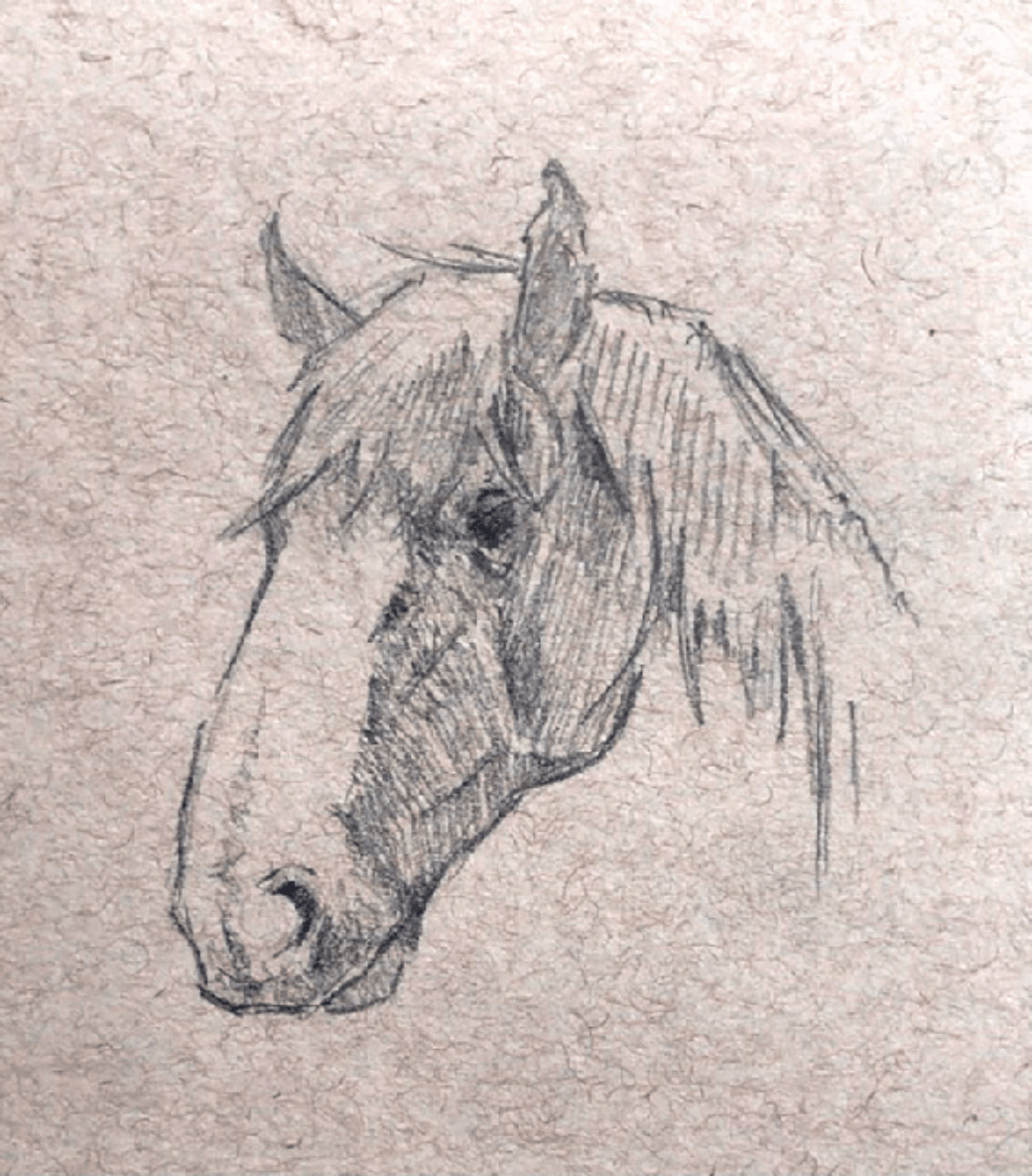 F23 Draw Horse