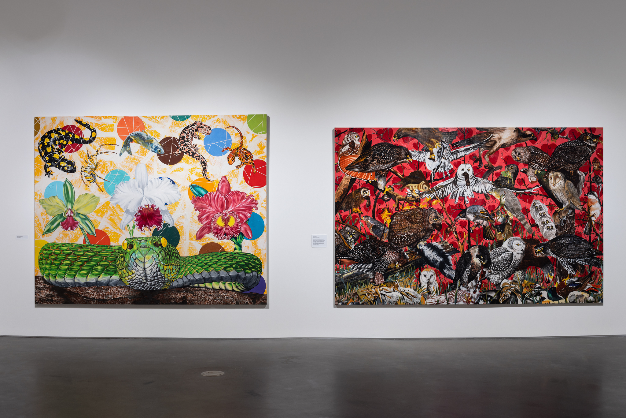 Two large murals hang on a white wall. Left: A green snake sits in the front, bright pink and white blooms and other colorful creatures float above. Right: A bright red background comprising of hearts sits behind a swarm of owls of colors and sizes.