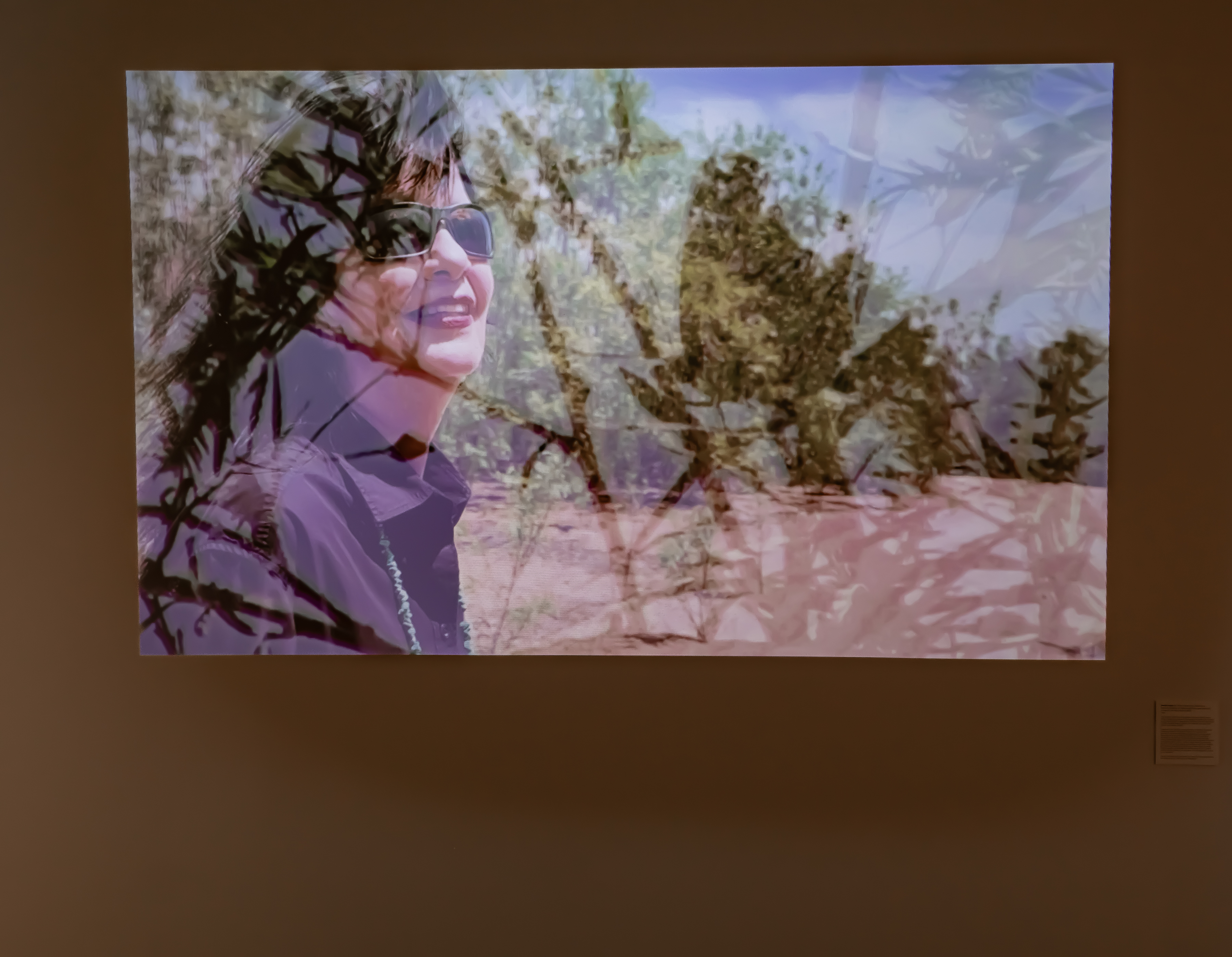 A projected image on a blank wall. In the image, a woman is outside, dressed in a dark shirt with dark sunglasses and dark hair. An overlay of branches and twigs is fading in on top of the woman.