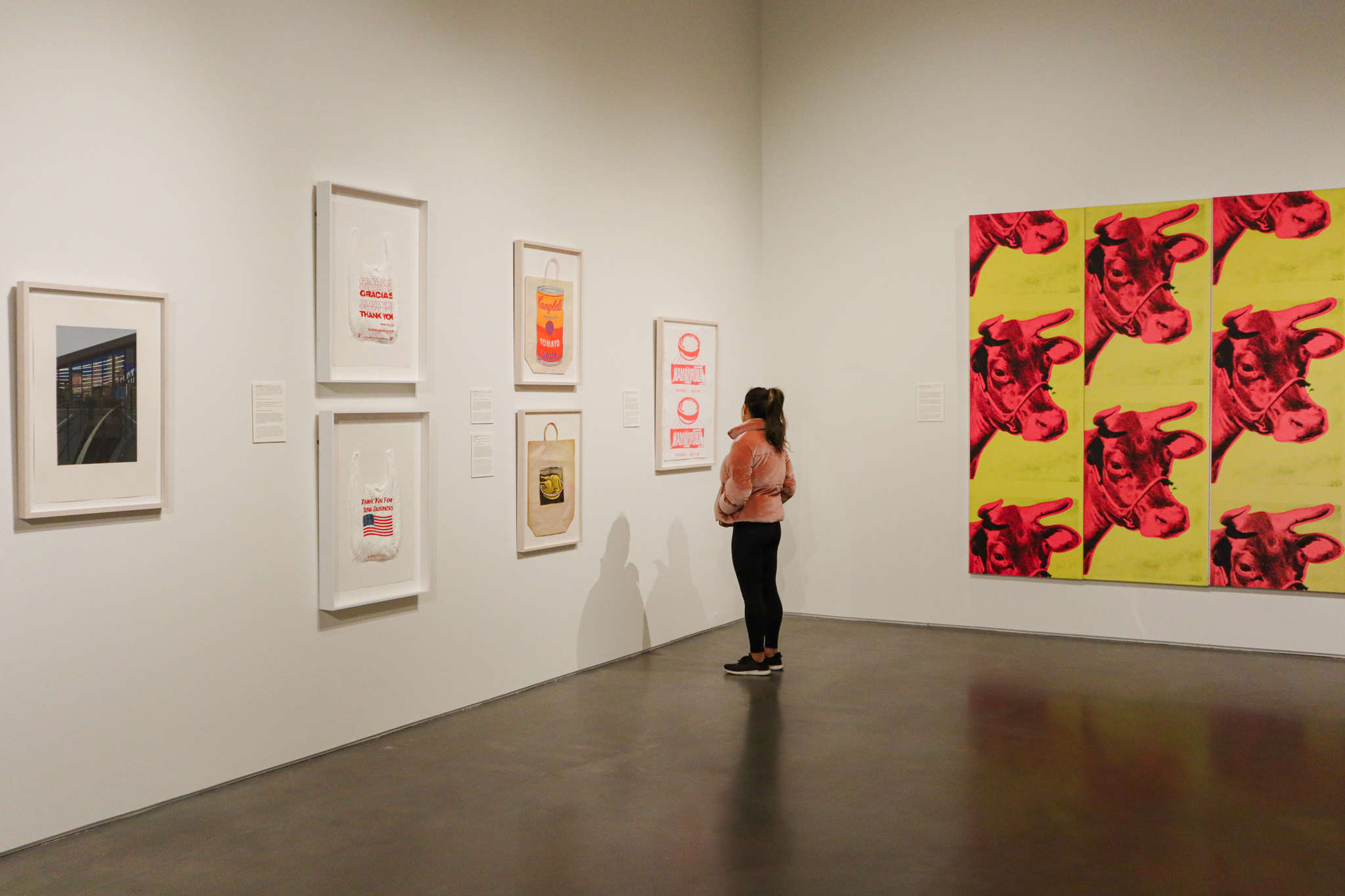 A person stands in a corner looking at hanging artworks. To their right is a print of a cow's head in pink, repeated, on a yellow background. In front of the person are six framed pieces. We can see grocery store bags in four of them.