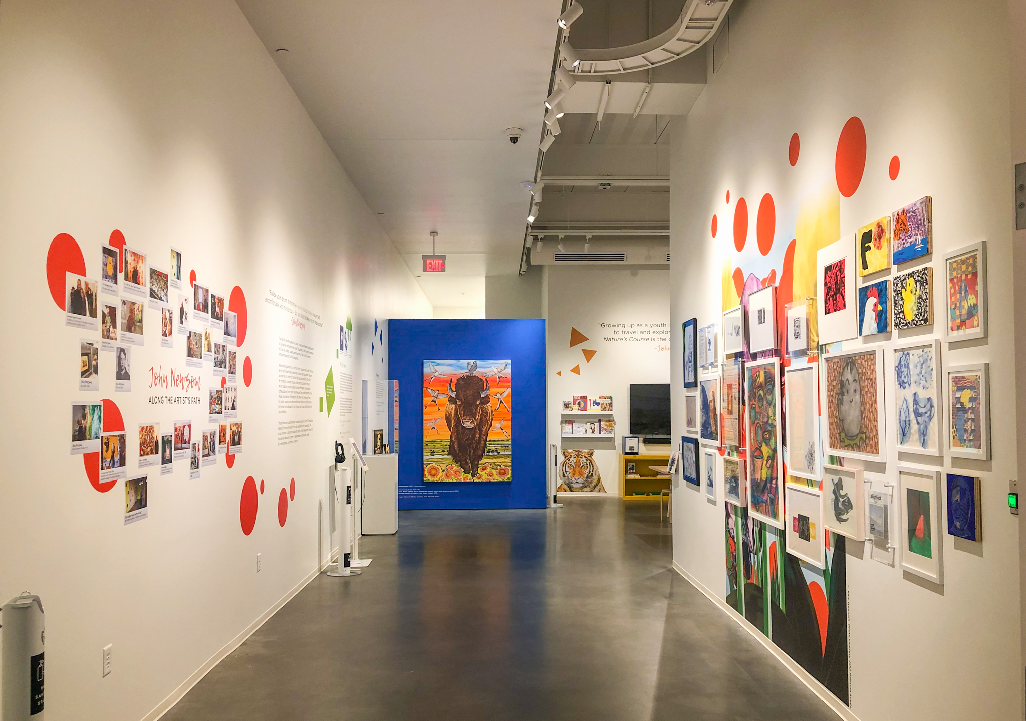 It is a wide shot of the Learning Gallery. On the left, a collage wall of photos backed by bright red circles. On the right, a salon wall of framed paintings and pictures of varying sizes. Straight ahead, a mural of a bison facing forward on a blue wall