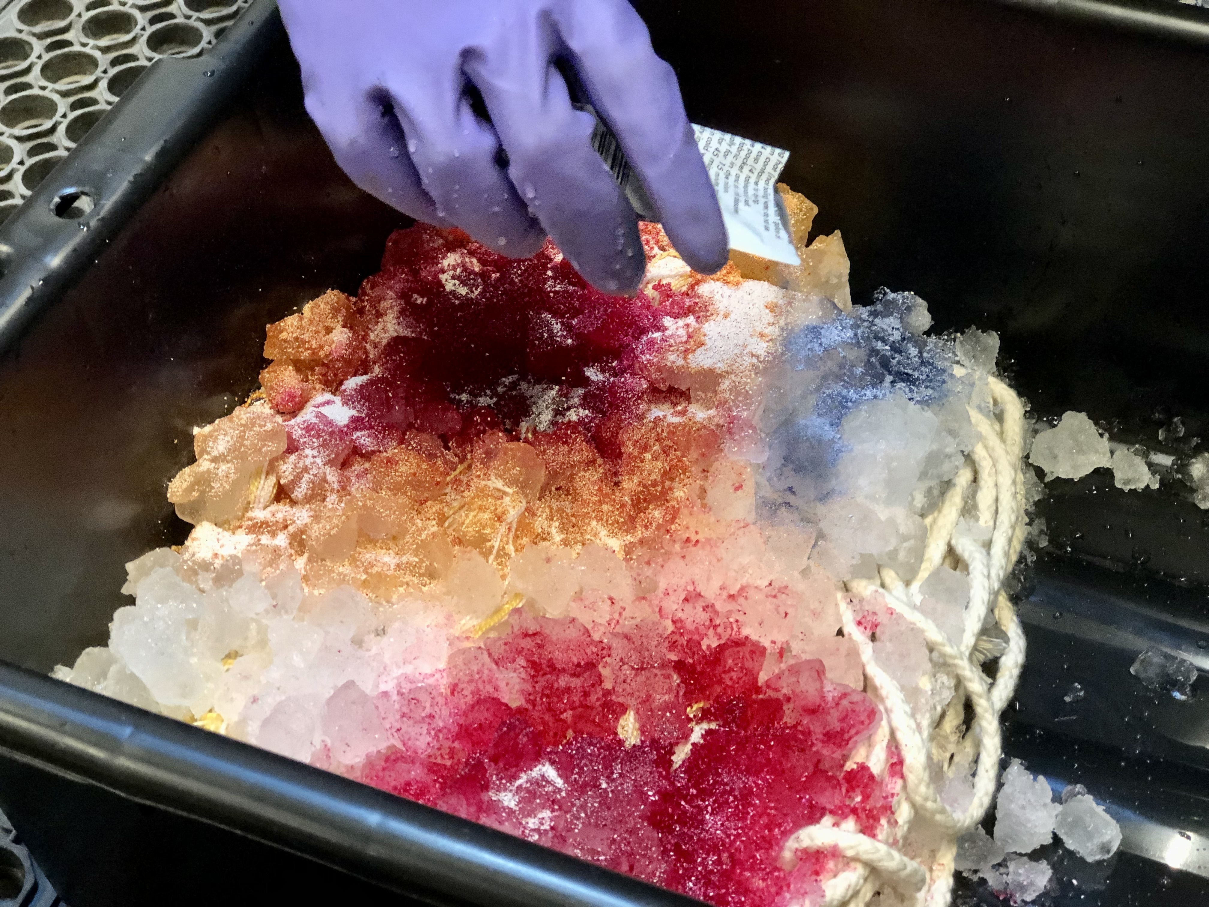 A purple, gloved hand is pouring packed, powder dye onto a large clump of ice sitting on top of fiber. There are bright red and orange and some blue sections of dye that is already soaking into the ice, creating vivid spots.