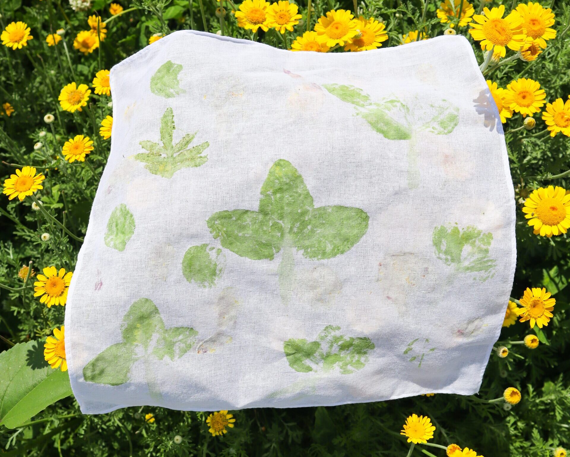 Sensory Friendly Hour: Bloom Prints